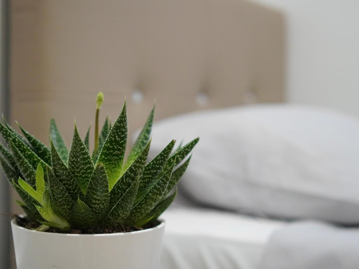Modern City Centre Two Bedroom Windsor Apartment - Grand Central House Γιβραλτάρ Εξωτερικό φωτογραφία